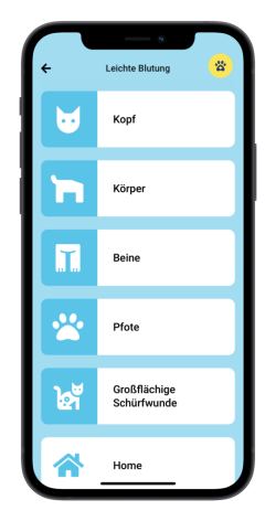 Mobile Ansicht der PocDoc App
